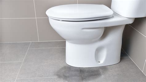 Whats Causing Your Toilet To Leak At The Base And。